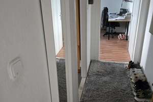 Zentrumsnahe 2-Zimmer Wohnung im westlichen Ringgebiet – Madamenweg 17, 38118 Westliches Ringgebiet, Braunschweig – Vorschaubild 7