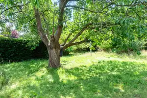 Feldrandlage - Bungalow mit Einliegerwohnung auf großem Grundstück - provisionsfrei – Pinneberg (Kreis) – Vorschaubild 10