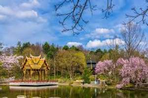 Property thumbnail 23