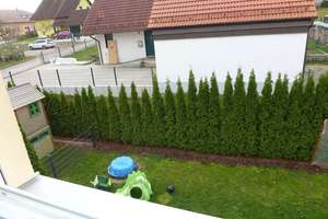 Property thumbnail 4