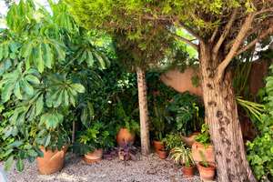 Winterresidenz in Santa Ponsa Golf  Verfügbar vom 1. September 2026 bis 30. Juni 2027 (10-monatiger  – Die vollständige Adresse der Immobilie erhältst du vom Anbieter., 7180 Adlershof, Berlin – Vorschaubild 7