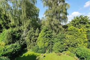 Property thumbnail 13