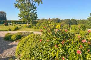 Modernisierte Villa in traumhafter Lage an der Flensburger Förde! – Die vollständige Adresse der Immobilie erhältst du vom Anbieter., 24960 Glücksburg (Ostsee) – Vorschaubild 24