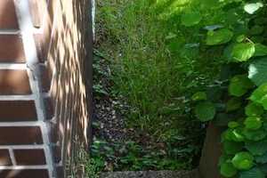 423 - Sehr schöne Einfamilien-Doppelhaushälfte mit eigenem Garten & Doppelgarage in Gelsenkirchen – Kriemhildstr. 4X, 45892 Gelsenkirchen – Vorschaubild 9