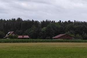 Maklerfrei: autark - renoviert - besonderes Haus mit PV Anlage, Brunnen, Wald, Weiher, sep Halle  – Die vollständige Adresse der Immobilie erhältst du vom Anbieter., 92271 Freihung – Vorschaubild 8