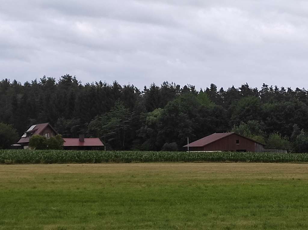 Immobilie in Freihung - Maklerfrei: autark - renoviert - besonderes Haus mit PV Anlage, Brunnen, Wald, Weiher, sep Halle  - Bild 1