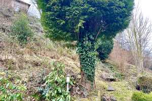 Freistehendes Einfamilienhaus - Wohnen auf einer Ebene - 
zentral & im Grünen, ca. 80 m²  vermietet – Euskirchen (Kreis) – Vorschaubild 7