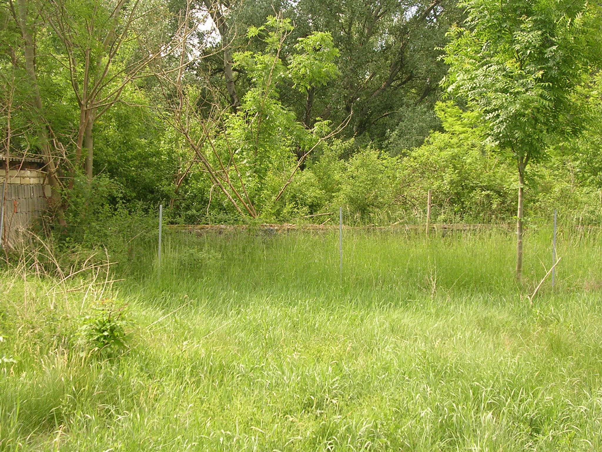 Baugrundstück mit Geschichte und positiver Bauvoranfrage!, Erfurt – Bild 4