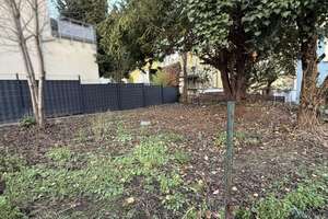 Frankfurt-Sossenheim: Dreifamilienhaus mit Nebengebäude und weiterem Bauplatz! – Die vollständige Adresse der Immobilie erhältst du vom Anbieter., 65936 Sossenheim, Frankfurt am Main – Vorschaubild 6