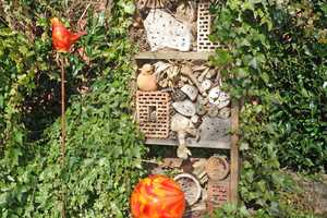 Ein Traum für Gartenliebhaber - reizendes Häuschen in ruhiger Lage von Jever! – Friesland (Kreis) – Vorschaubild 6
