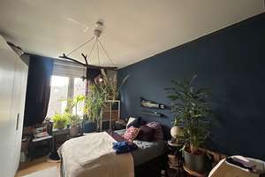 Schöne Wohnung mit Balkon im 2.OG – Westenfelder Str. 71, 44801 Westenfeld, Bochum – Vorschaubild 2