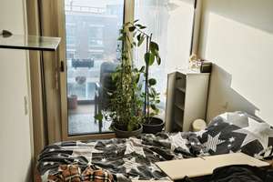 Property thumbnail 14