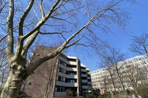 Vollmöbliertes, voll ausgestattetes Appartem. mit Blick auf den Neckar, zentral und doch ruhig – Die vollständige Adresse der Immobilie erhältst du vom Anbieter., 68167 Neckarstadt-Ost/Wohlgelegen, Mannheim – Vorschaubild 14