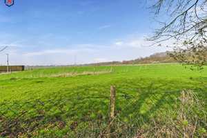 Walmdachbungalow mit Doppelgarage auf parkähnlichem Grundstück – Rhein-Erft-Kreis – Vorschaubild 13