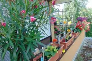 Dachterrasse: 1-Zimmer Dachgeschoss-Apartment in München-Am Hart