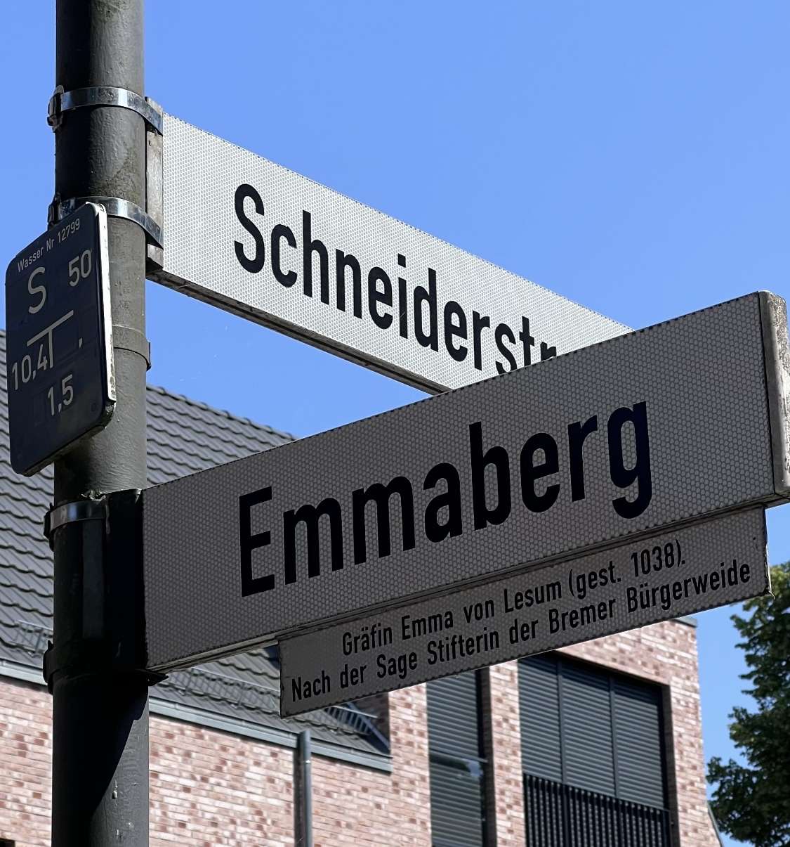 Sanierungsbedürftige, schöne Kaufmannsvilla mit 2 Wohneinheiten in Bremen-Lesum, Top-Lage, Bremen – Bild 4