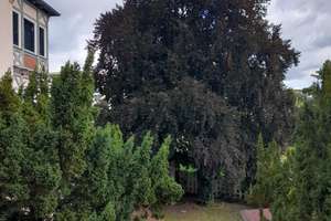 Property thumbnail 11