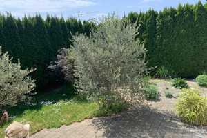 Großzügiges 2-Familienhaus in Friedrichshafen-Raderach!! – Bodenseekreis – Vorschaubild 30