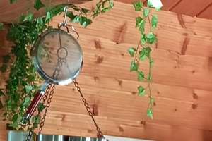wieviel ist dir Freiheit Wert? EFH  in exponierter Lage PV , Brunnen, Wald, Weiher,gr Halle, carport – Die vollständige Adresse der Immobilie erhältst du vom Anbieter., 92271 Freihung – Vorschaubild 23