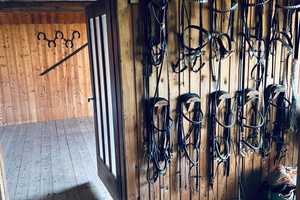 IMMO LOVE Reischach- Einfamilienhaus mit Reiterhof! – Ecking 6412, 84571 Altötting (Kreis) – Vorschaubild 13