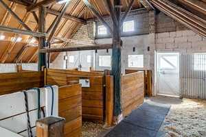 Top Angebot - Pferdehof mit Reitplatz, Halle, Scheune und Landhaus – Aurich (Kreis) – Vorschaubild 14