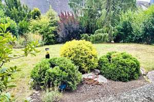 Gepflegtes Einfamilienhaus direkt am Weinberg in Bestlage von Eltville – Die vollständige Adresse der Immobilie erhältst du vom Anbieter., 65343 Eltville am Rhein – Vorschaubild 21