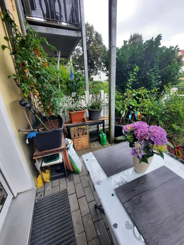 Immobilie in Bad Abbach - Ruhige 2-Zimmer-Terrassenwohnung in Bad Abbach - Bild 3