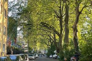 2 Zimmer Wohnung im Herzen von Düsseldorf zur Untermiete – Färberstraße 30, 40223 Bilk, Düsseldorf – Vorschaubild 3
