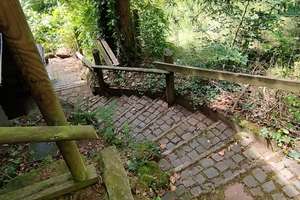 Erholung pur im Pfälzerwald! Idyllisches Wochenendhaus in Frankenstein (Pfalz) – Schliertal 22, 67468 Frankenstein – Vorschaubild 19