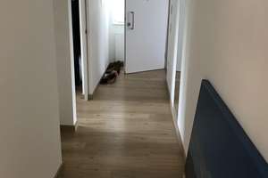 Moderne 2-Zimmer-Wohnung mit Balkon und EBK in Mannheim/ Käfertal Süd (ab 1.8.26) – Rüdesheimerstrasse 79, 68309 Käfertal, Mannheim – Vorschaubild 2