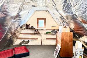 BESICHTIGUNGSSTOP! Familienfreundliches Einfamilienhaus mit traumhaftem Grundstück in Mülheim Heißen – Die vollständige Adresse der Immobilie erhältst du vom Anbieter., 45470 Altstadt I, Mülheim an der Ruhr – Vorschaubild 32