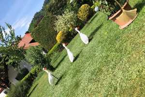 Natur, Ruhe und Lebensqualität! Hier passt alles! – Emmendingen (Kreis) – Vorschaubild 5