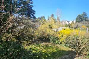 Wohnhaus für die große Familie – Wiesbaden – Vorschaubild 20