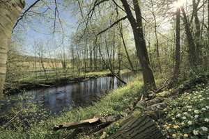 Property thumbnail 17