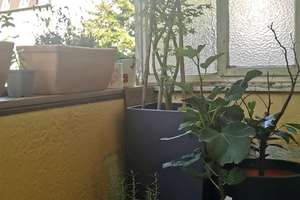 Schöne Wohnung mit zwei Zimmern und Wohnküche in Essen-Frohnhausen – Die vollständige Adresse der Immobilie erhältst du vom Anbieter., 45145 Frohnhausen, Essen – Vorschaubild 11