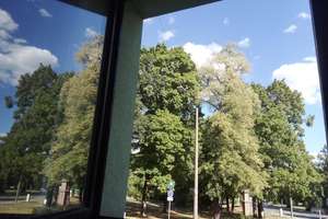 Helle 2‑Zimmer - Ruhig & Grün - St. Jobst / Erlenstegen - 1 Min zum Wöhrder See - Garage – Thumenberger Weg 3, 90491 Sankt Jobst, Nürnberg – Vorschaubild 3
