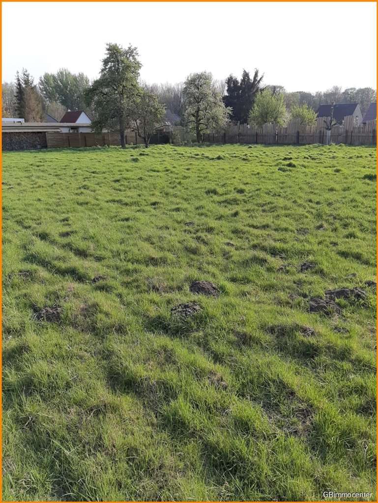 Immobilie in Zörbig - Kleiner Bungalow mit IHREN IDEEN und in Zahnabau QUALITÄT - endlich. - Bild 3