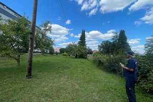 Bad Wimpfen, Nähe Friedhof, großes Grundstück, älteres renovierungsbedürftiges EFH – Rappenauerstraße 39, 74206 Heilbronn (Kreis) – Vorschaubild 51