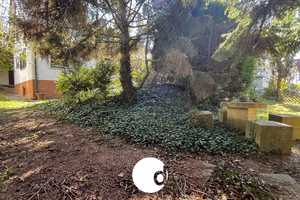 Einfamilienhaus mit nahezu ebenem Gartenparadies – Stuttgart – Vorschaubild 1