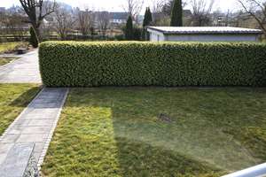 Ch.Schülke-Immobilien; Großzügige moderne 2,5-Zimmer-EG-Wohnung mit Terrasse und Garten