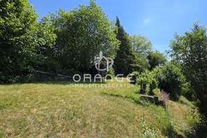 ***CHARMANTES EFH/ZFH MIT POTENZIAL, VIEL PLATZ, GROßEM GRUNDSTÜCK & WINTERGARTEN IN RUHIGER LAGE*** – Die vollständige Adresse der Immobilie erhältst du vom Anbieter., 94474 Vilshofen an der Donau – Vorschaubild 46