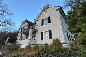 ***Wohnen mit unverbaubaren Donaublick - einzigartige Denkmalvilla*** – Die vollständige Adresse der Immobilie erhältst du vom Anbieter., 93059 Ober- und Niederwinzer-Kager, Regensburg – Vorschaubild 3