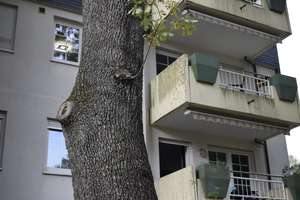 Lichtdurchflutete 3-Zimmer-Wohnung mit Balkon, Aufzug, Garage & neuwertiger Einbauküche – 42653 Gräfrath, Solingen – Vorschaubild 7