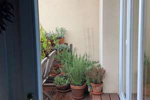 sonnige Dachterrassenwohnung im 3. OG mit Wannenbad, und Duschbad – Großbeerenstrasse 24, 14482 Babelsberg Süd, Potsdam – Vorschaubild 25