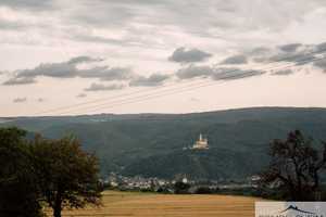 Landwirtschaftlicher Betrieb mit 2 Wohnhäusern und vielen Möglichkeiten in toller Lage – Mayen-Koblenz (Kreis) – Vorschaubild 8