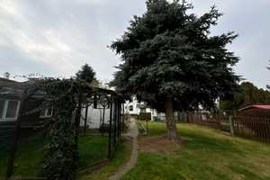 Oase der Ruhe: Charmantes Einfamilienhaus mit parkähnlichem Grundstück, Garage und Pool! – Leipzig (Kreis) – Vorschaubild 27