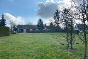 Ein Zuhause im Grünen innerhalb der Kleinstadt! – Mecklenburg-Strelitz (Kreis) – Vorschaubild 5