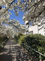 Bild zu Immobilienmakler Krefeld
