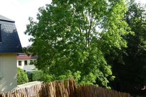 Traumwohnung in toller Stadtvilla!!! - mit EBK, Balkon, Laminat... – Robert-Blum-Str. 22, 9116 Schönau, Chemnitz – Vorschaubild 5