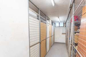 Property thumbnail 14